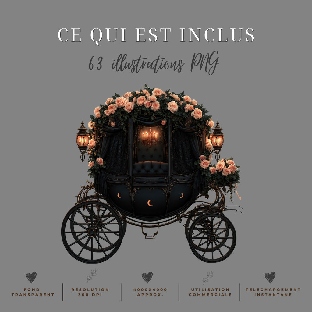 Collection "Les corbeaux de minuit" |  illustrations PNG | Fond transparent | 300 DPI | Bonus : 2 animations MP4