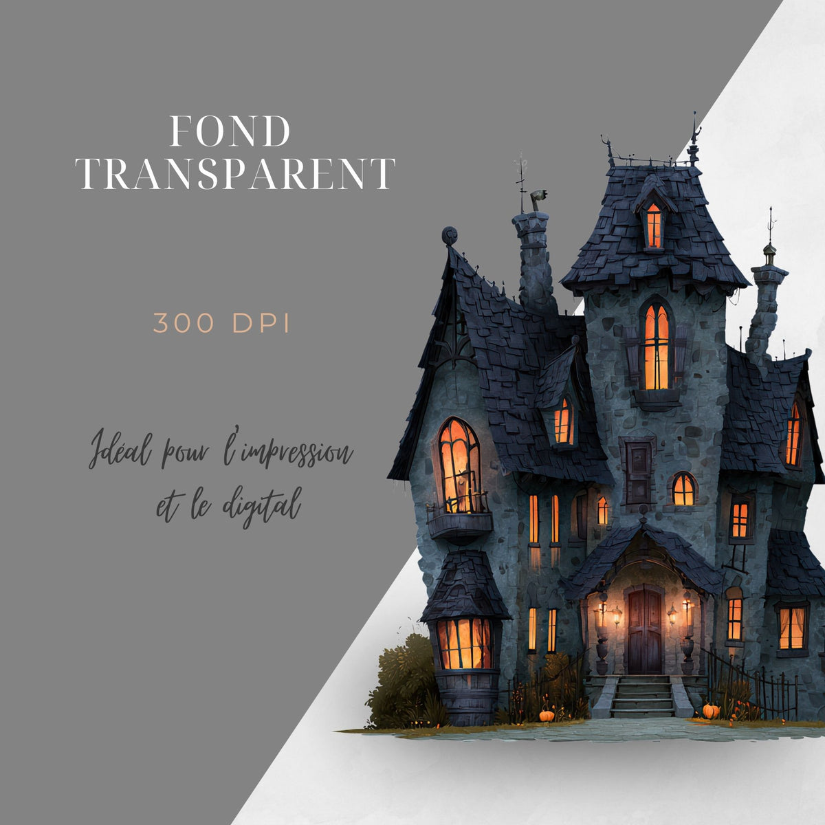 Collection "Les corbeaux de minuit" |  illustrations PNG | Fond transparent | 300 DPI | Bonus : 2 animations MP4